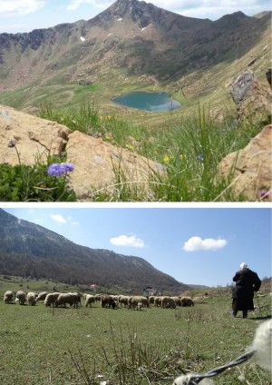 Shebenik-Jabllanicë, Parku i parë shqiptar që  troket në UNESCO   